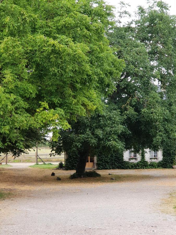 La Tilia Bed & Breakfast Saint-Riquier Exterior foto
